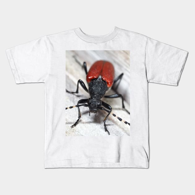 Red-shouldered Pine Borer Kids T-Shirt by SDym Photography